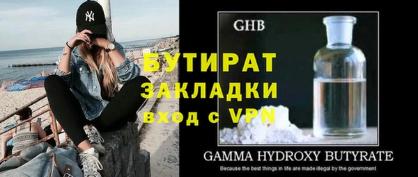 индика Сатка
