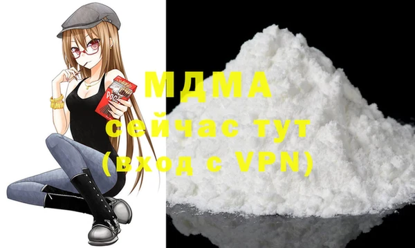 индика Сатка
