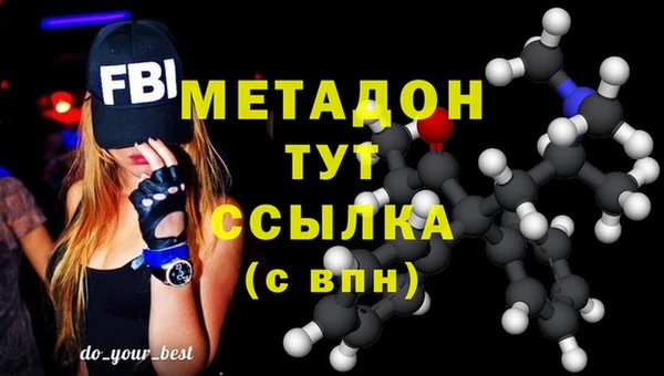 индика Сатка