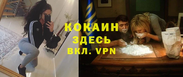 индика Сатка