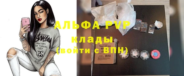 индика Сатка