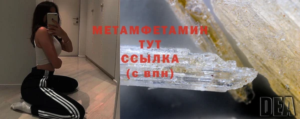 индика Сатка
