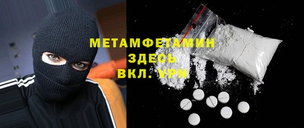 индика Сатка