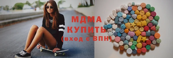 индика Сатка