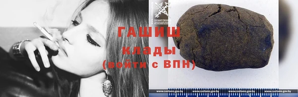 индика Сатка