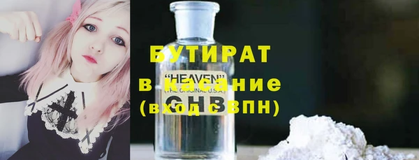 индика Сатка
