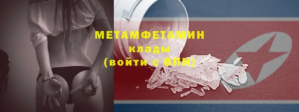 индика Сатка