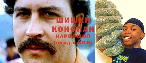 индика Сатка