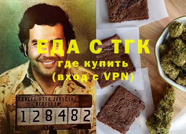 индика Сатка