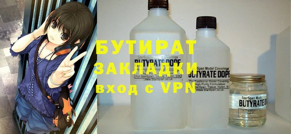 индика Сатка